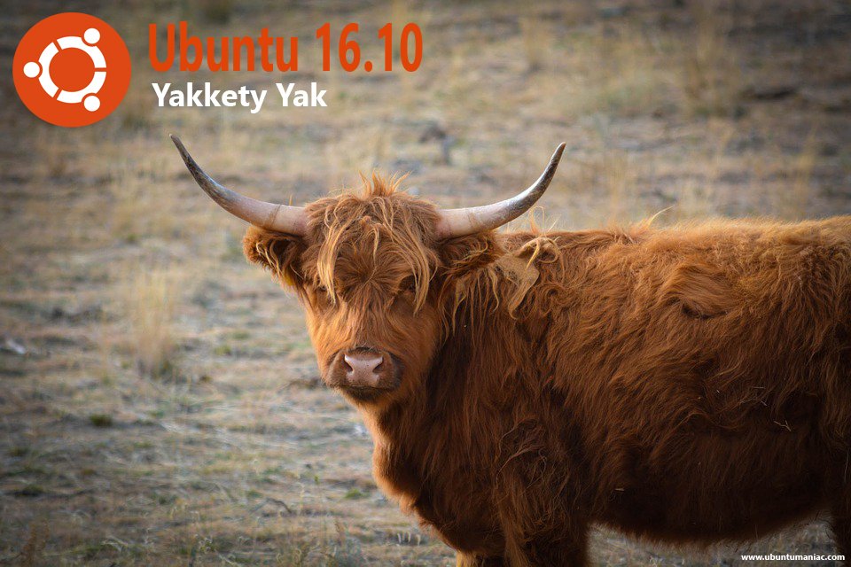 Yakkety yak usa xf86-video-modesetting 