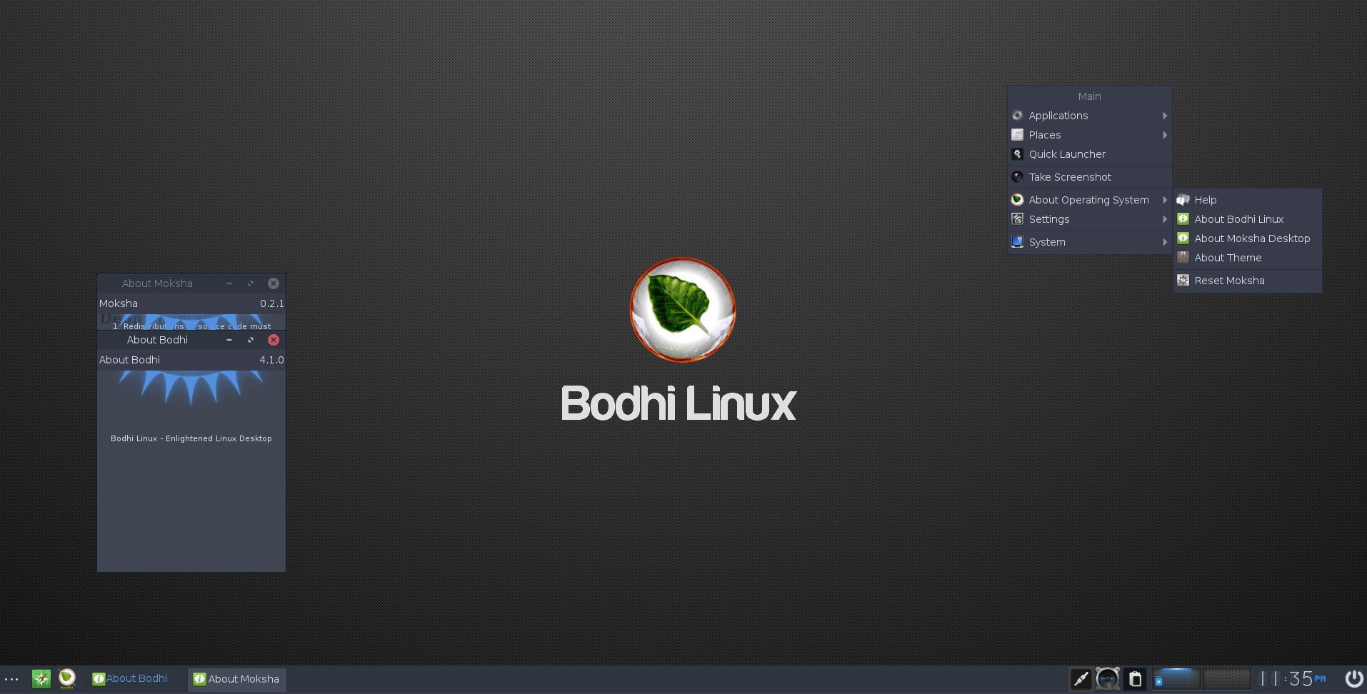 bodhi linux 4.1.0