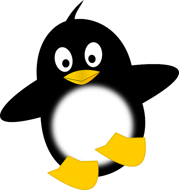 linux