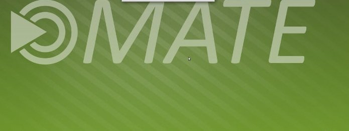 mte desktop environment