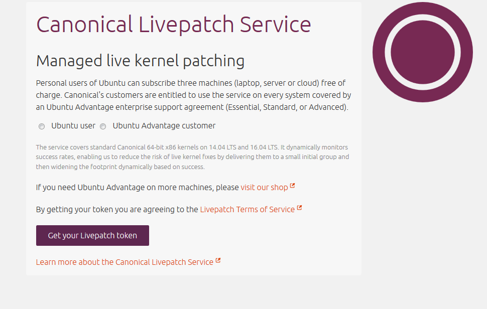 kernel livepatch