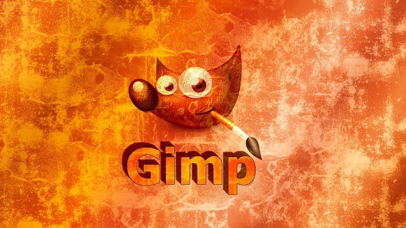 gimp