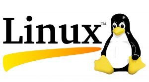 linux 4.20 linux 4.19 linus torvalds