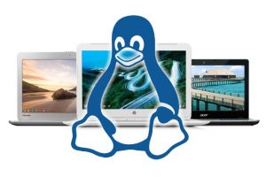 chromebook-linux-penguin