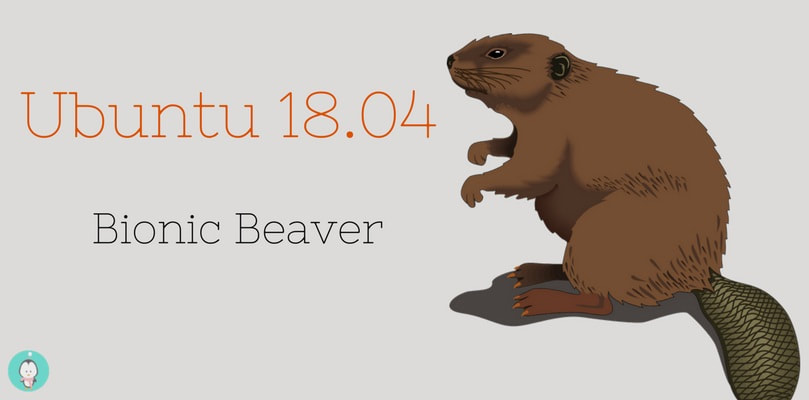 ubuntu-18-04-lts