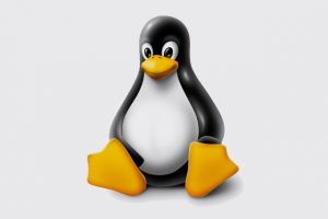kernel  linux 5.0