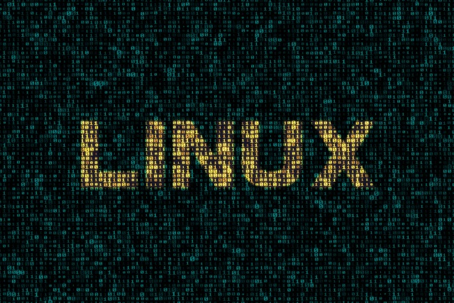 kernel linux 5.0