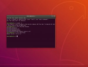 ubuntu 18.04.2