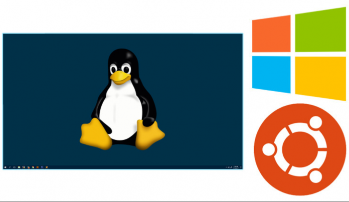 linux windows linux windows