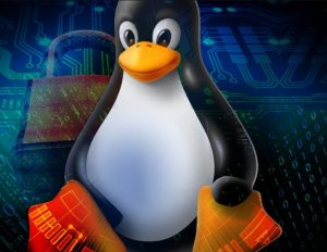 linux 5.3 torvalds