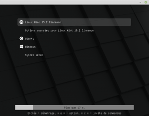 linux mint 19.3