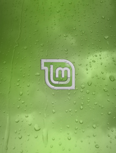 Linux Mint 19.3
