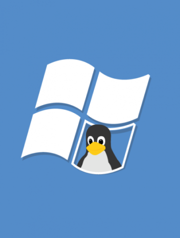 linux windows kali undercover