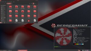 peppermint os 10 respin
