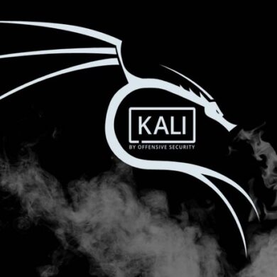 kali linux 2020.1