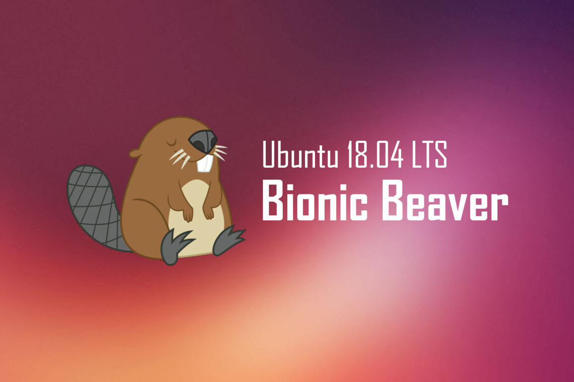 Ubuntu 18.04 Bionic Beaver