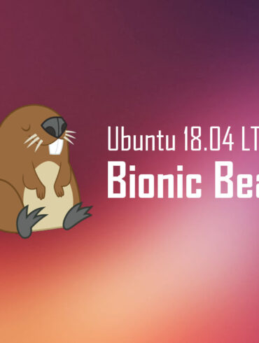 Ubuntu 18.04 Bionic Beaver