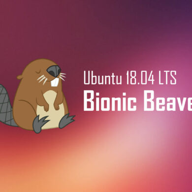 Ubuntu 18.04 Bionic Beaver
