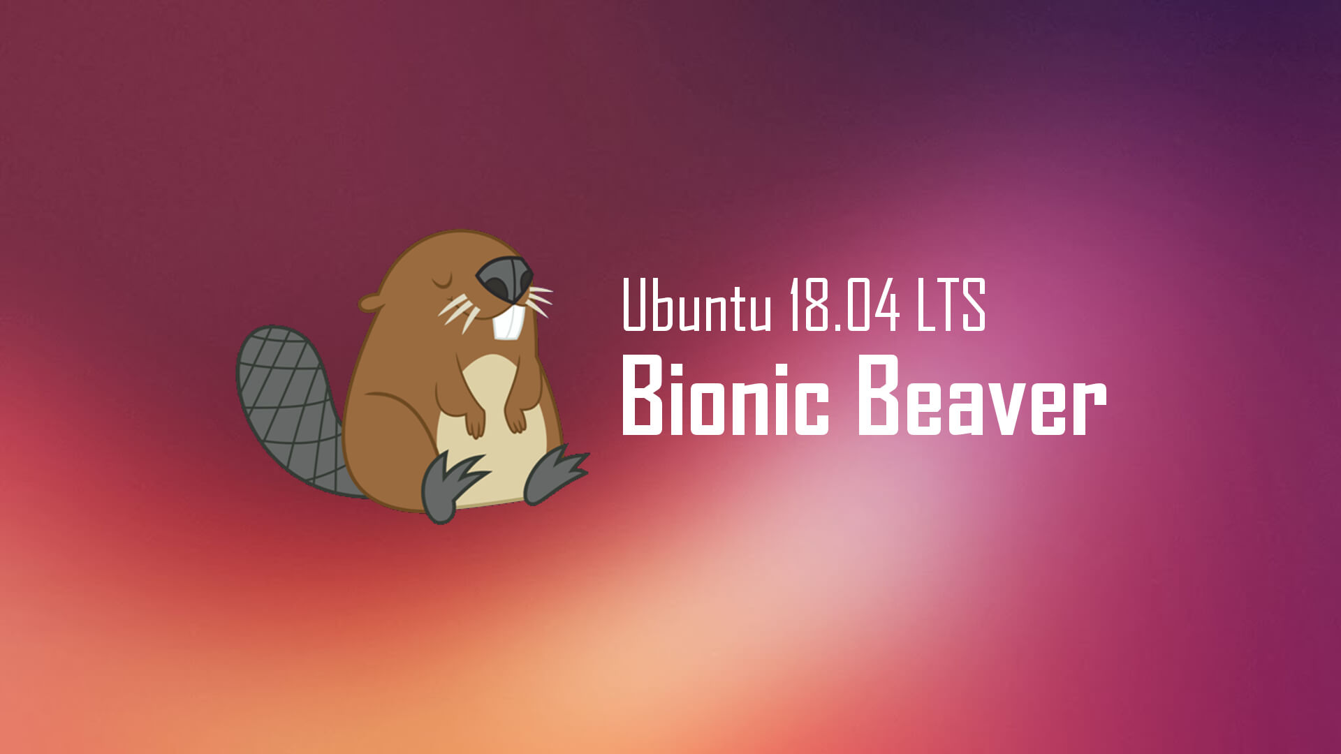 Ubuntu 18.04 Bionic Beaver