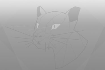 Ubuntu 20.04 Focal Fossa wallpaper greyscale
