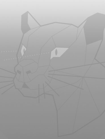 Ubuntu 20.04 Focal Fossa wallpaper greyscale