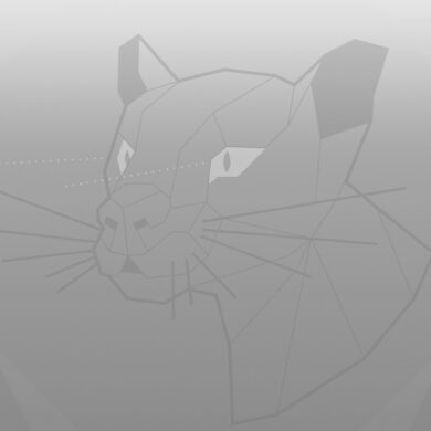 Ubuntu 20.04 Focal Fossa wallpaper greyscale