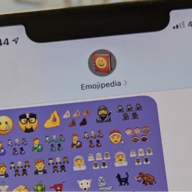 ubuntu 20.04 unicode 13