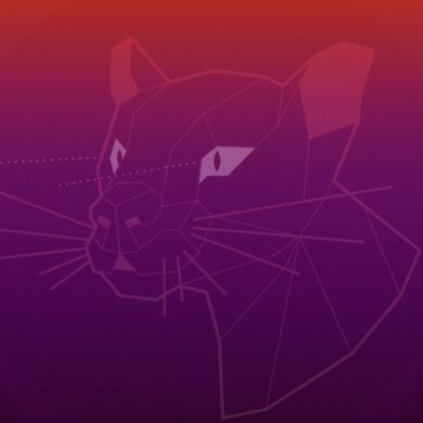 Ubuntu 20.04 Focal Fossa wallpaper