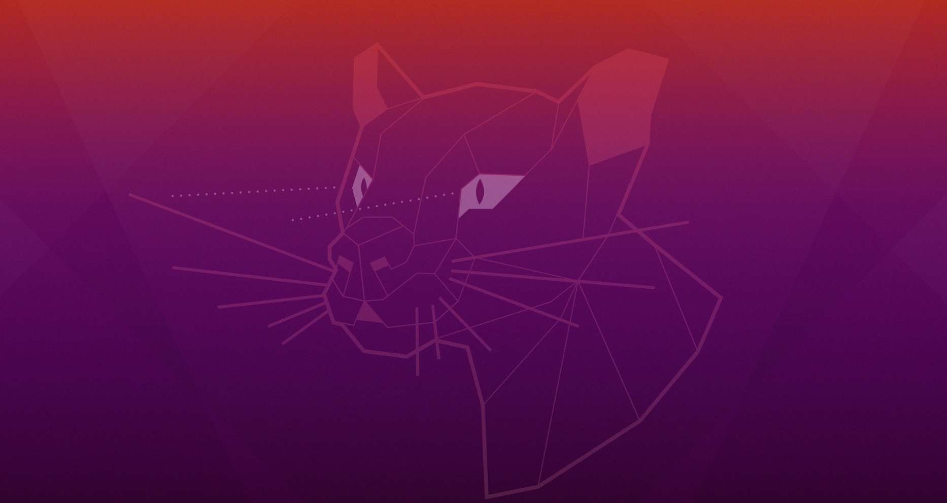 Ubuntu 20.04 Focal Fossa wallpaper