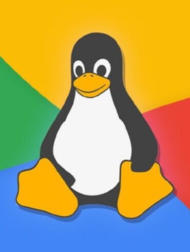 linux chrome os