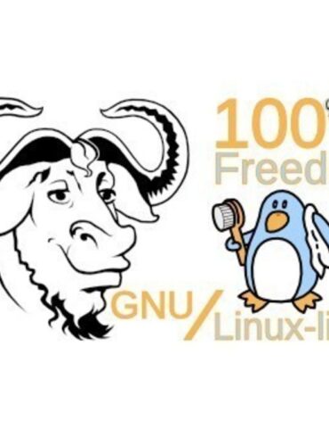linux-libre kernel fsf