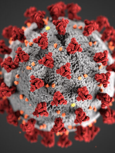 suse debian coronavirus covid-19