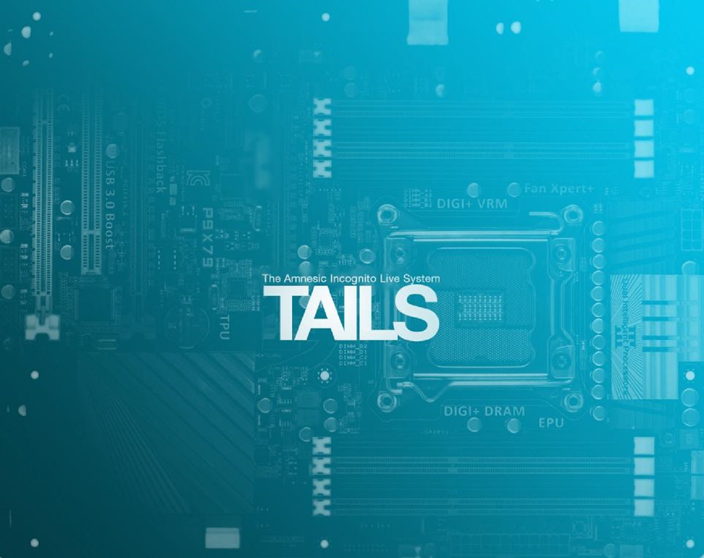 tails 4.4