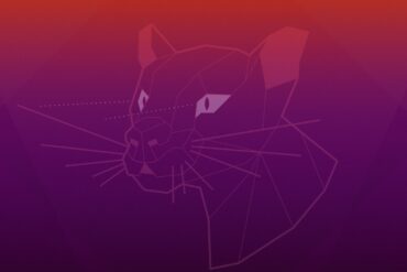 Ubuntu 20.04 Focal Fossa wallpaper