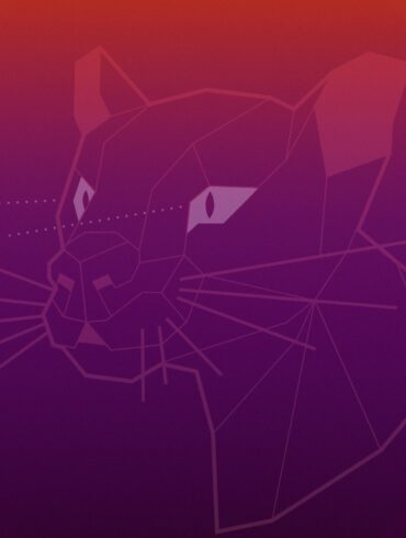 Ubuntu 20.04 Focal Fossa wallpaper