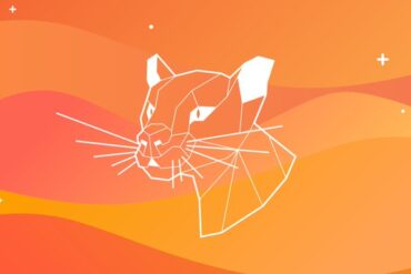 ubuntu 20.04 focal fossa wp