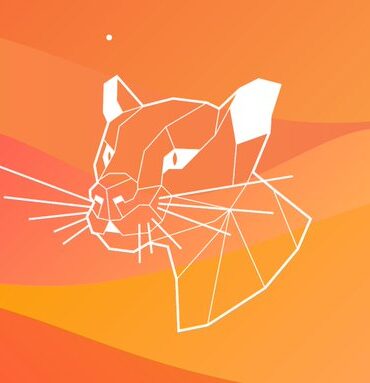 ubuntu 20.04 focal fossa wp