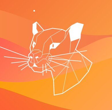 ubuntu 20.04 focal fossa wp