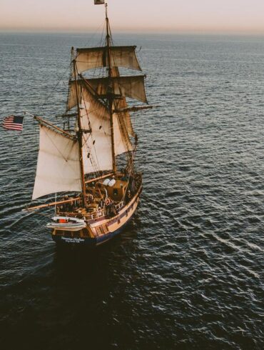 transmission qbittorrent open source client torrent