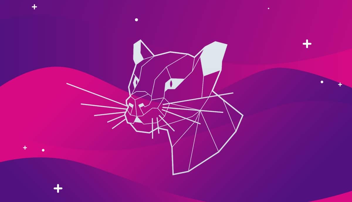 ubuntu 20.04 focal fossa