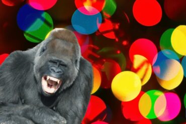 ubuntu 20.10 groovy gorilla