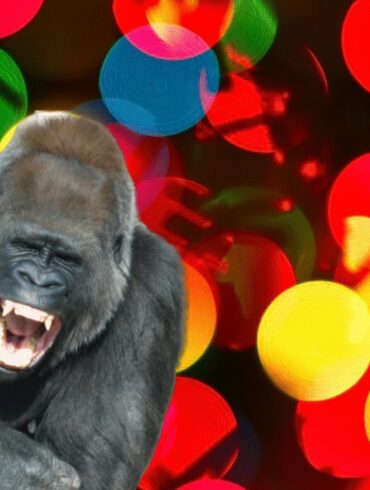 ubuntu 20.10 groovy gorilla