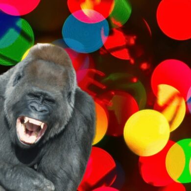 ubuntu 20.10 groovy gorilla