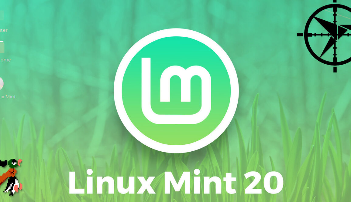 linux mint 20 snap snapd Canonical Ubuntu