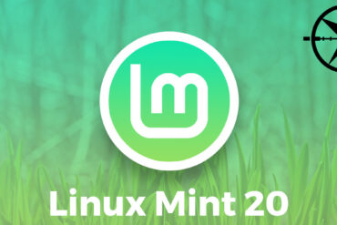 linux mint 20 snap snapd Canonical Ubuntu