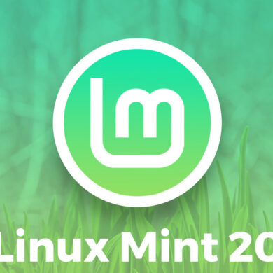 linux mint 20 snap snapd Canonical Ubuntu