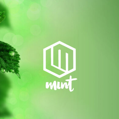 linux mint 20 beta
