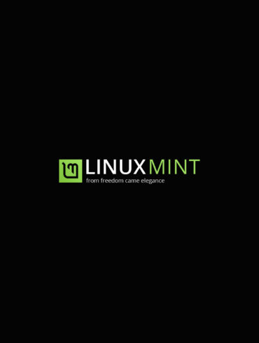linux mint 20 ulyana