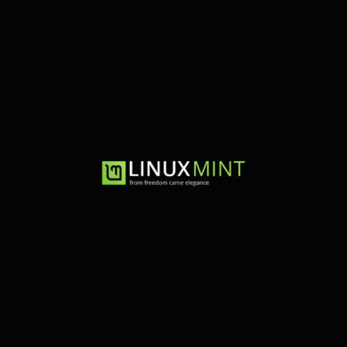 linux mint 20 ulyana