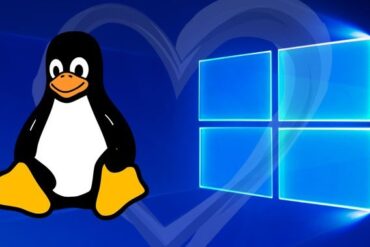 wsl 2 windows linux
